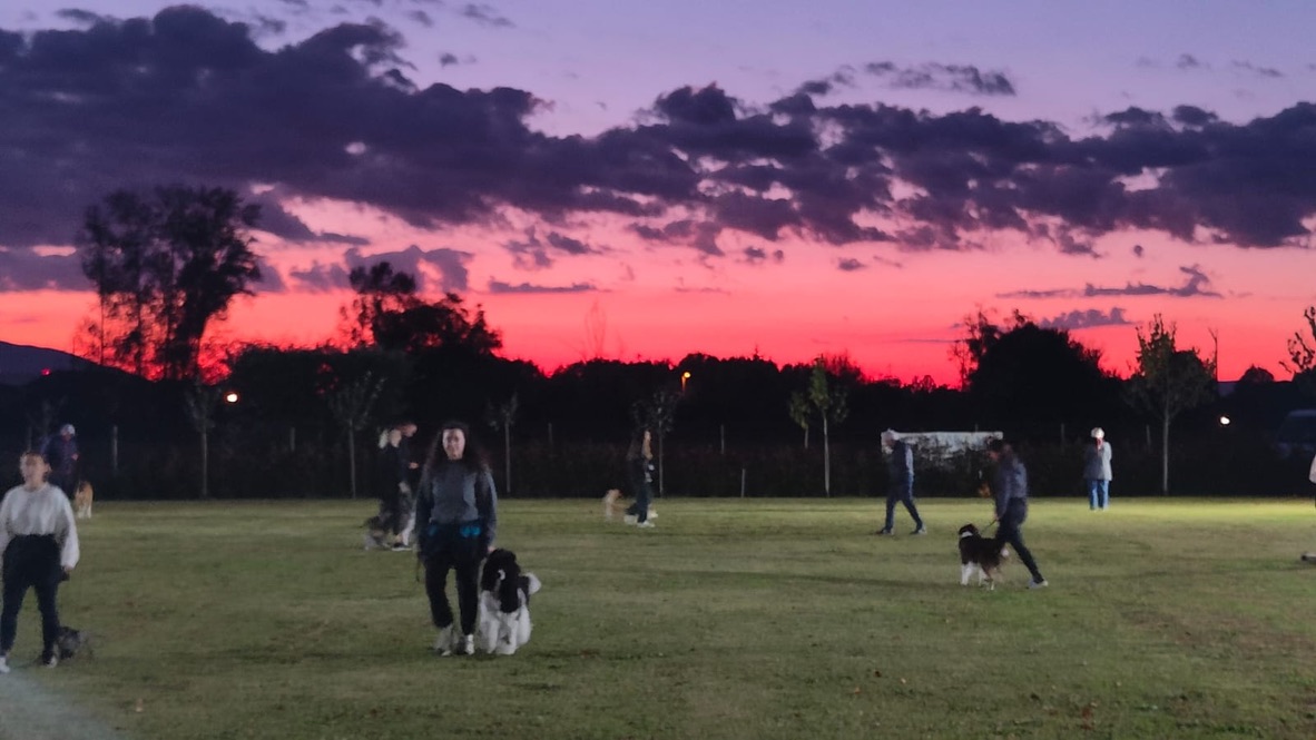Persone e cani al campo sotto un cielo rosa e viola al tramonto